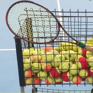 Classi del Curie al Circolo tennis di Pergine  🎾🏃🏻‍♂️‍➡️🏃🏻‍➡️